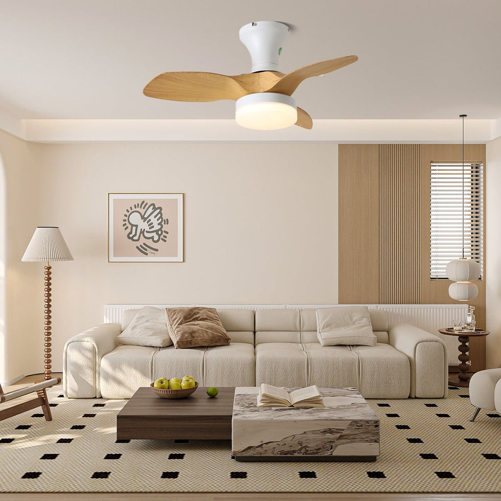 Brisa Ceiling Fan Light — product view 2