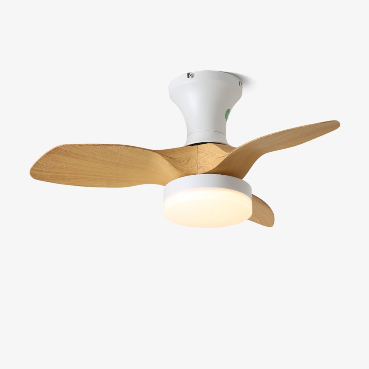 Brisa Ceiling Fan Light — product view 6