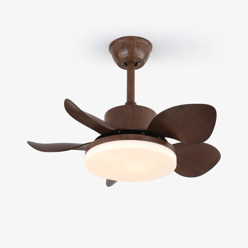 Terra Walnut Ceiling Fan Light — product view 9