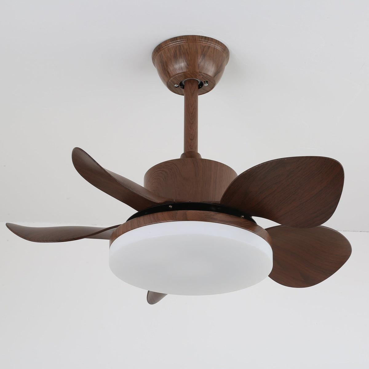 Terra Walnut Ceiling Fan Light — product view 6