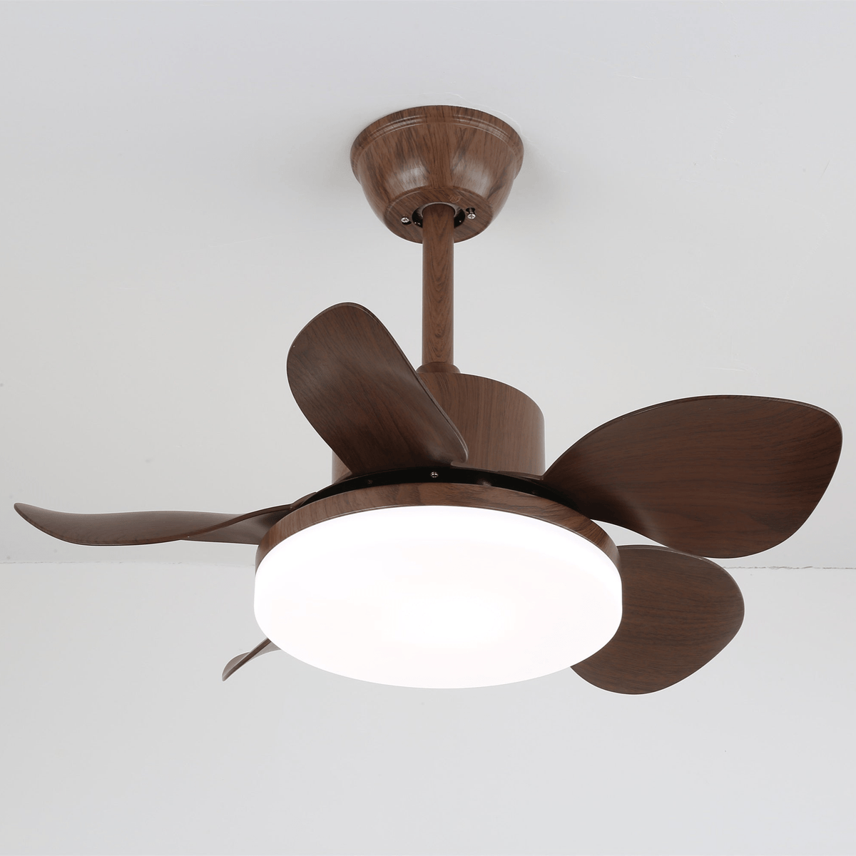 Terra Walnut Ceiling Fan Light — product view 18