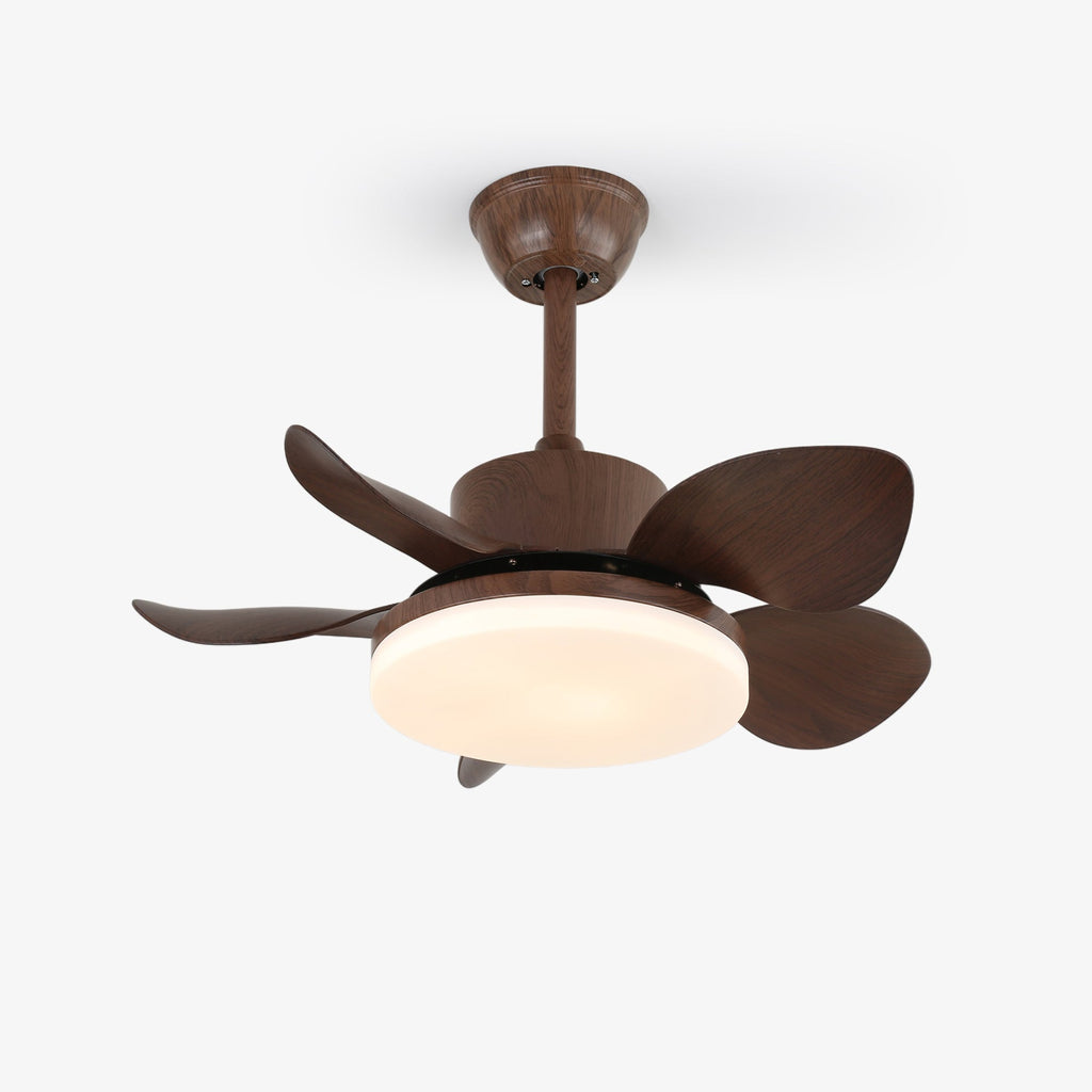 Terra Walnut Ceiling Fan Light — product view 1
