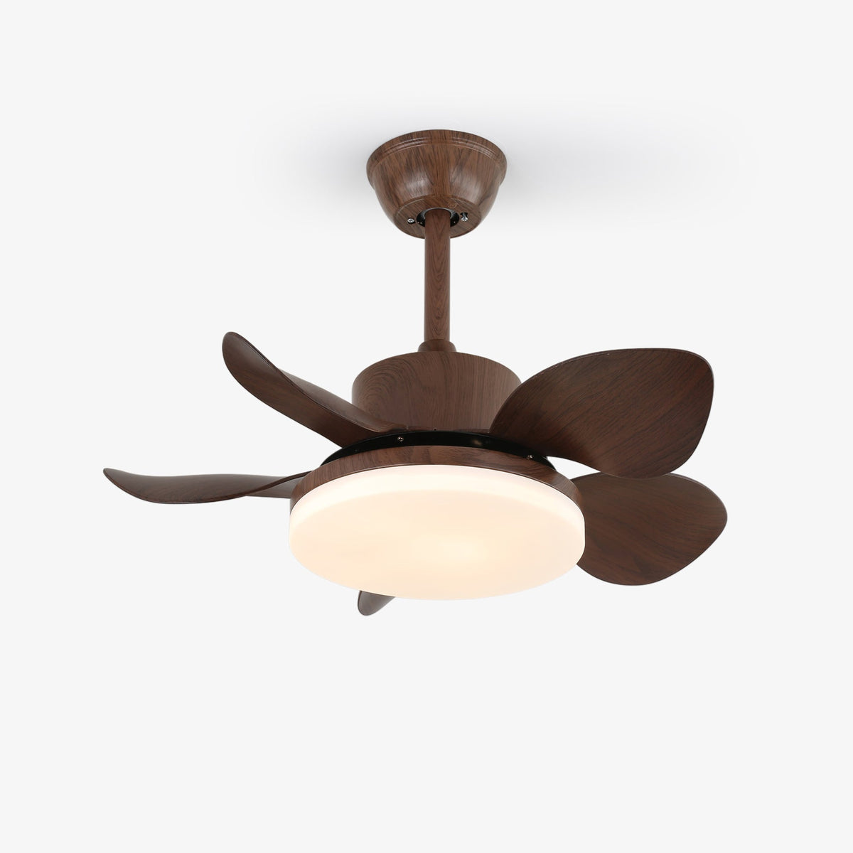 Terra Walnut Ceiling Fan Light — product view 1