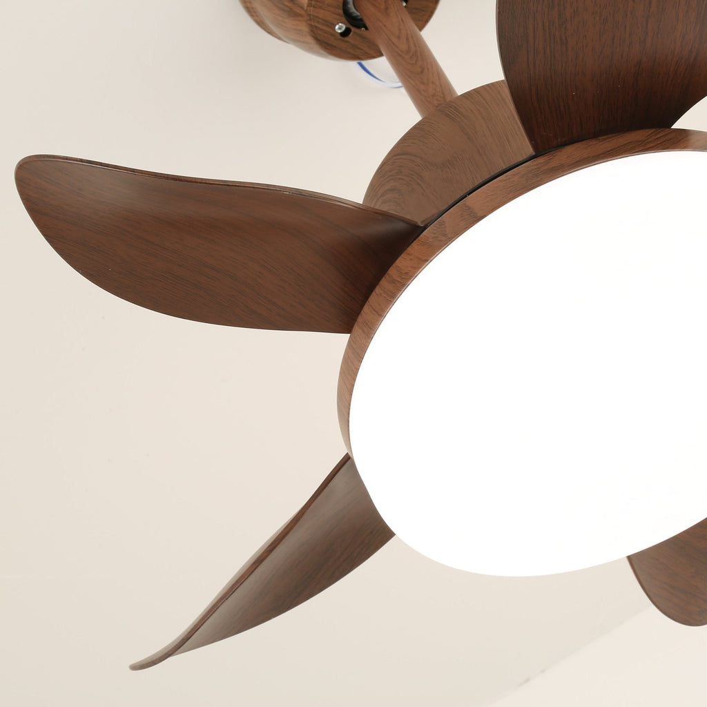 Terra Walnut Ceiling Fan Light — product view 7