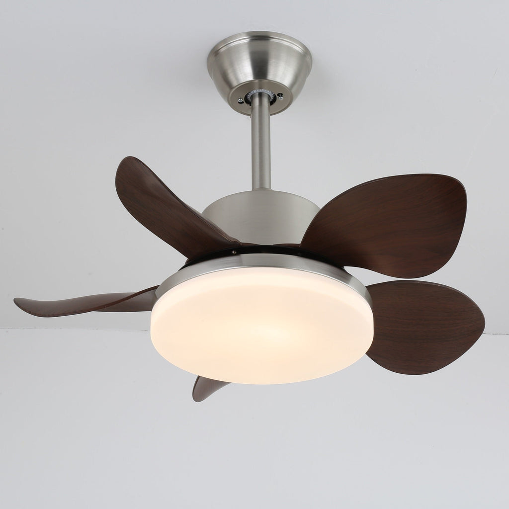 Terra Walnut Ceiling Fan Light — product view 20