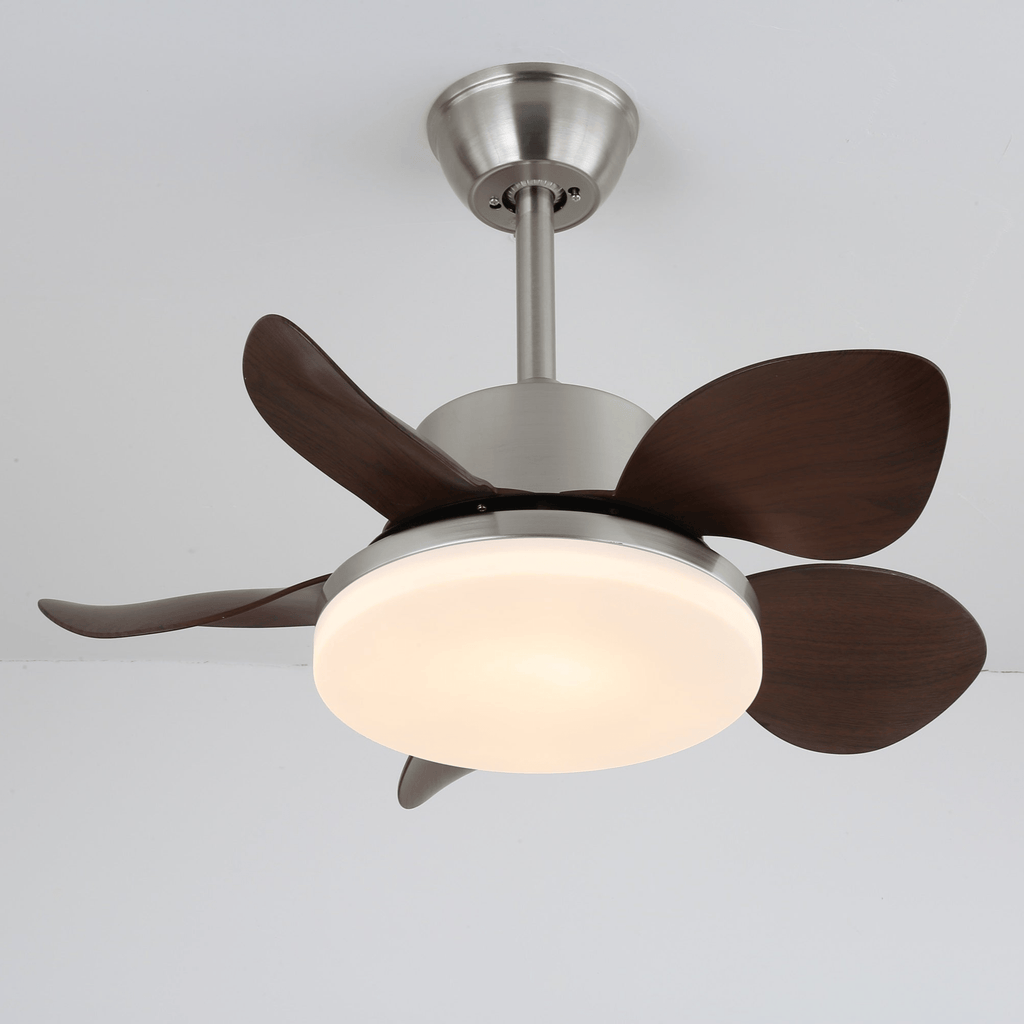 Terra Walnut Ceiling Fan Light — product view 19