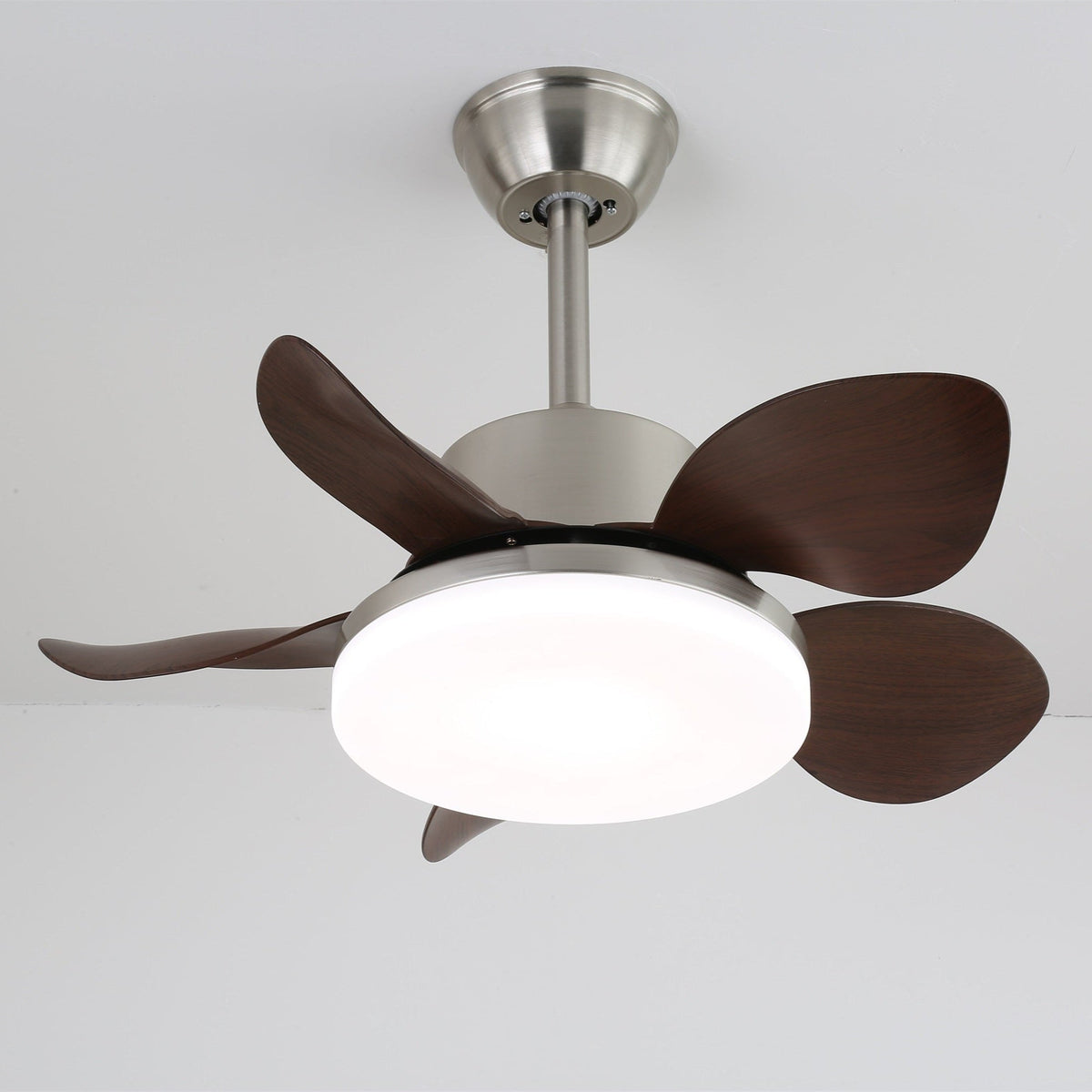 Terra Walnut Ceiling Fan Light — product view 3