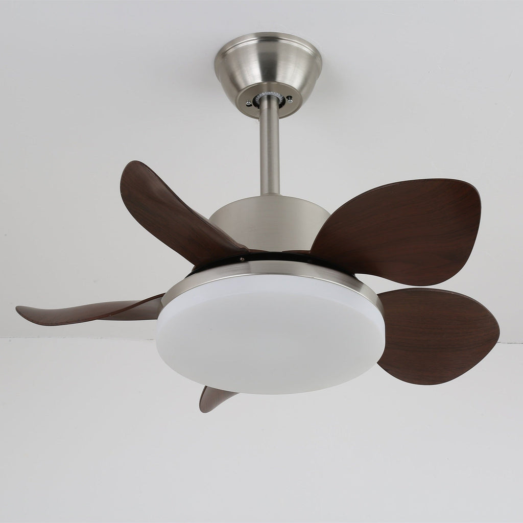 Terra Walnut Ceiling Fan Light — product view 5