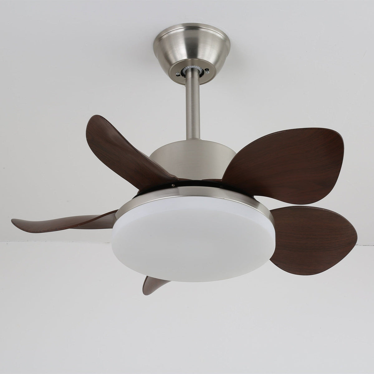 Terra Walnut Ceiling Fan Light — product view 5