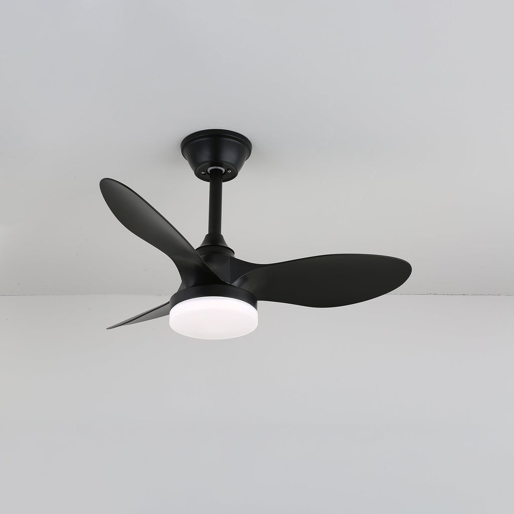 Callum Ceiling Fan Light — product view 8