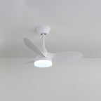 Callum Ceiling Fan Light — product view 9