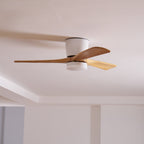 Nordic Wooden 42"/48"/52" Ceiling Fan Light — product view 41