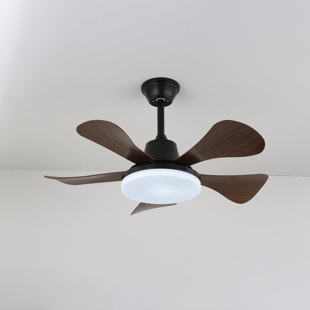 Eliza Ceiling Fan Light — product view 5