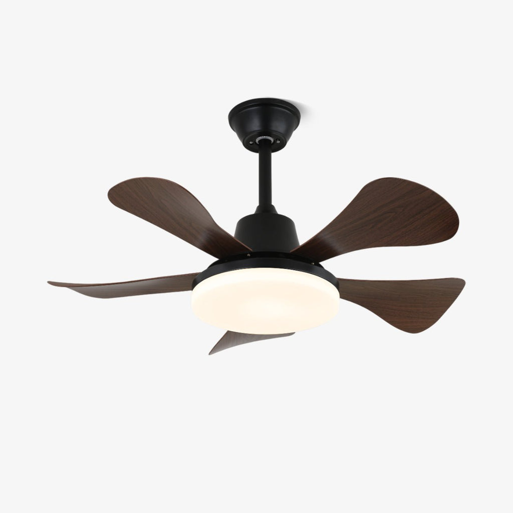Eliza Ceiling Fan Light — product view 1