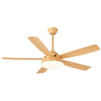 Elysian Ceiling Fan Light — product view 6