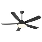 Elysian Ceiling Fan Light — product view 5