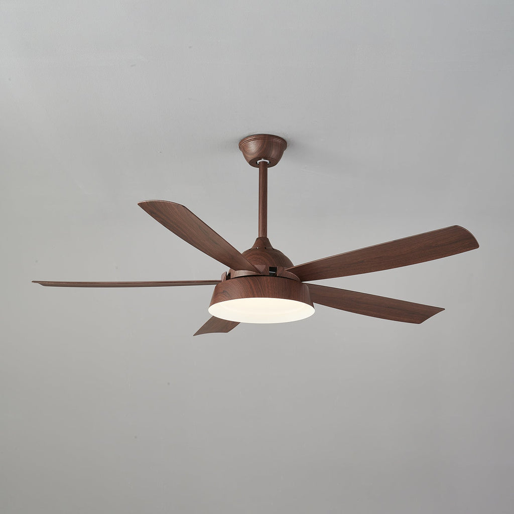 Elysian Ceiling Fan Light — product view 8