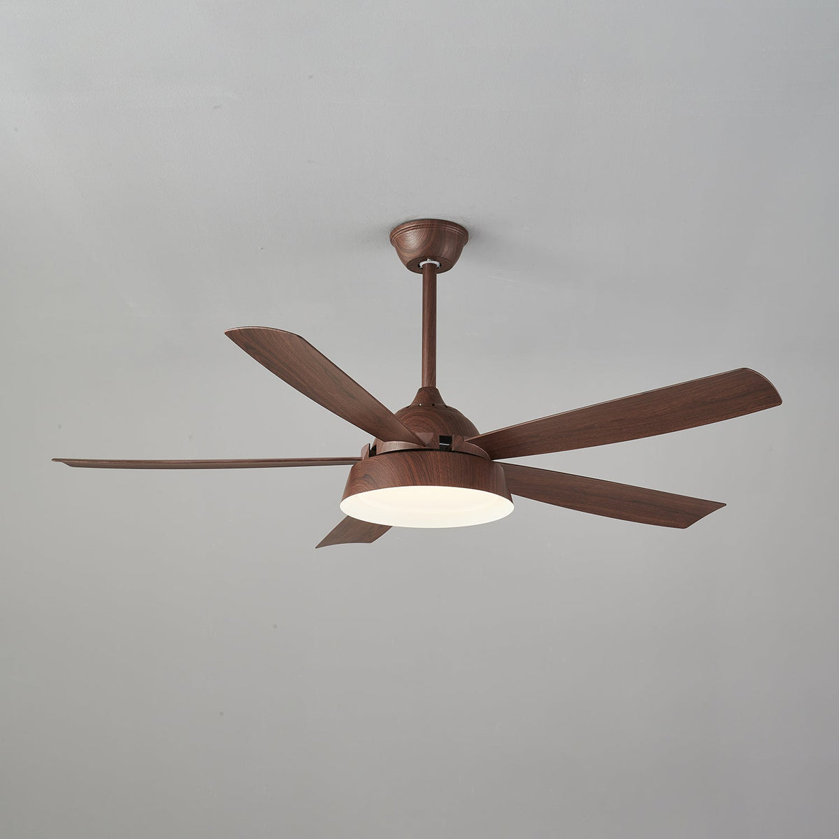 Elysian Ceiling Fan Light — product view 8