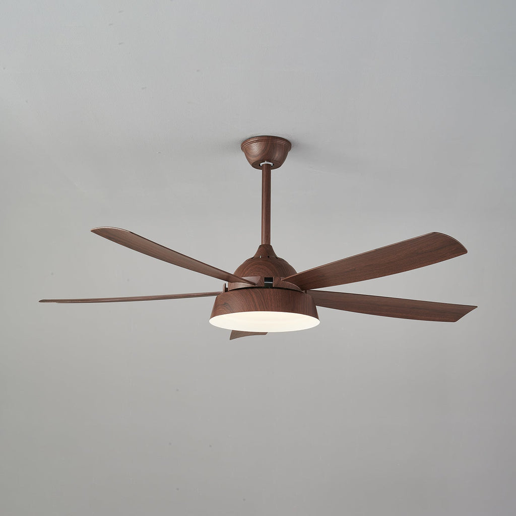Elysian Ceiling Fan Light — product view 18