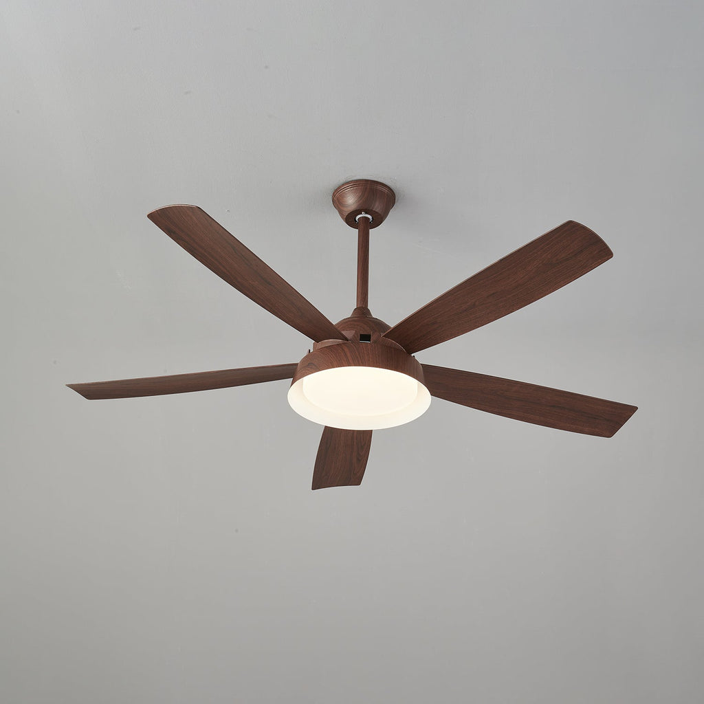 Elysian Ceiling Fan Light — product view 19