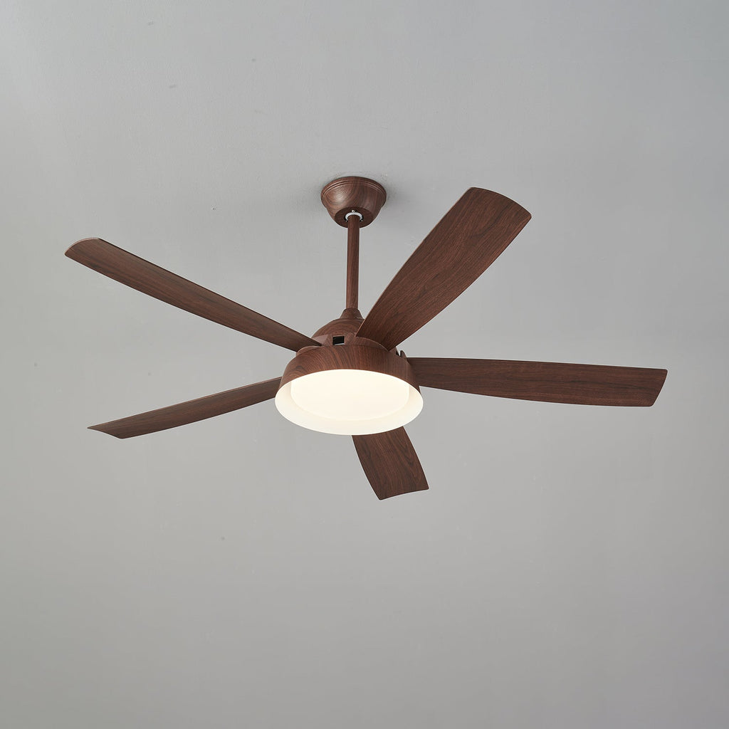 Elysian Ceiling Fan Light — product view 20