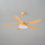 Elysian Ceiling Fan Light — product view 21