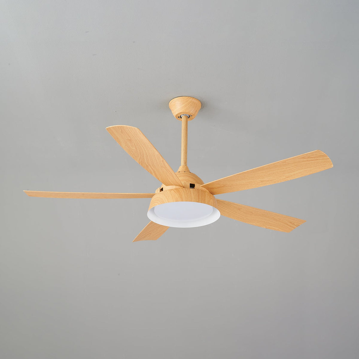 Elysian Ceiling Fan Light — product view 21