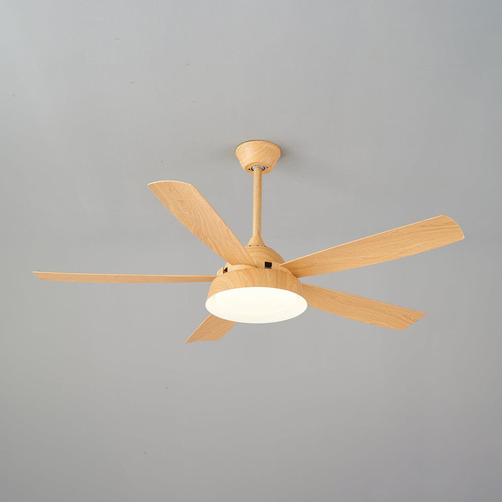 Elysian Ceiling Fan Light — product view 22