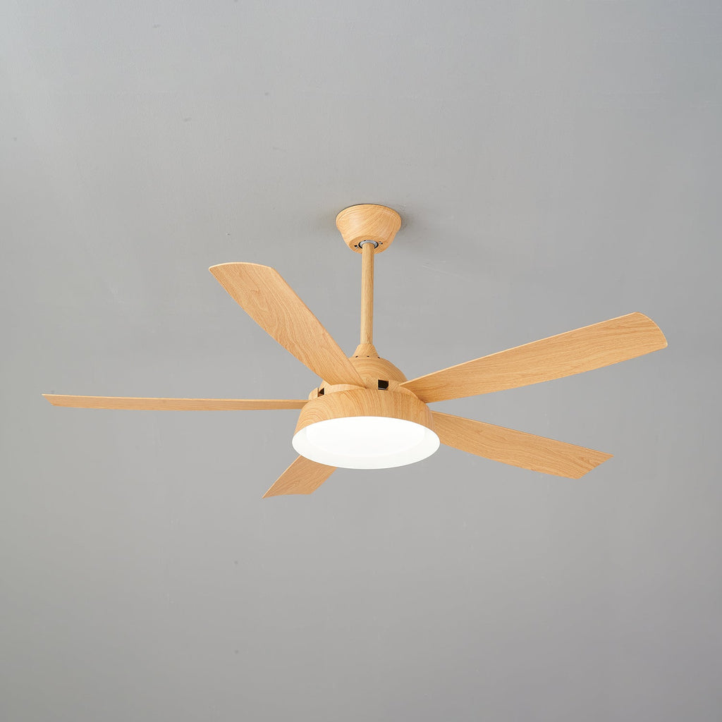 Elysian Ceiling Fan Light — product view 24