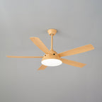Elysian Ceiling Fan Light — product view 24