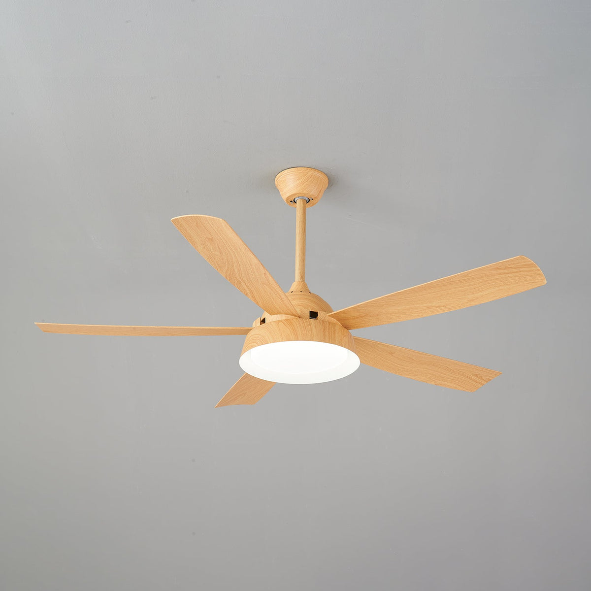 Elysian Ceiling Fan Light — product view 24