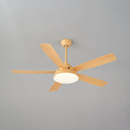 Elysian Ceiling Fan Light — product view 25