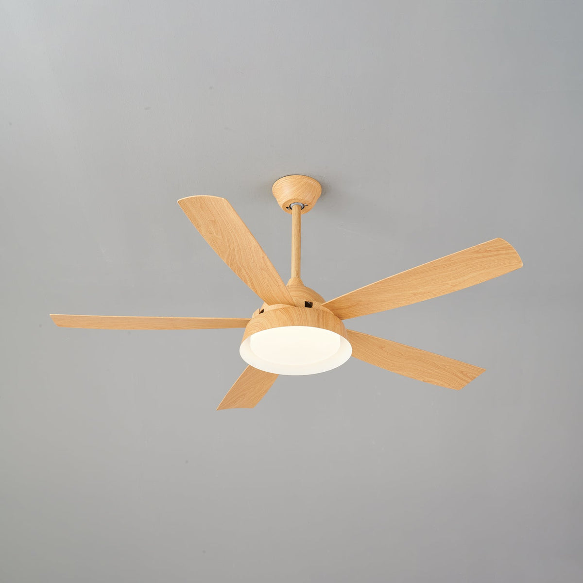 Elysian Ceiling Fan Light — product view 25