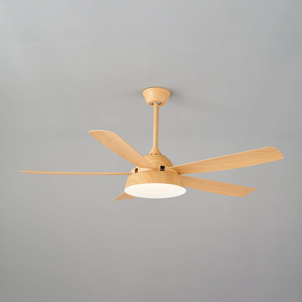 Elysian Ceiling Fan Light — product view 26