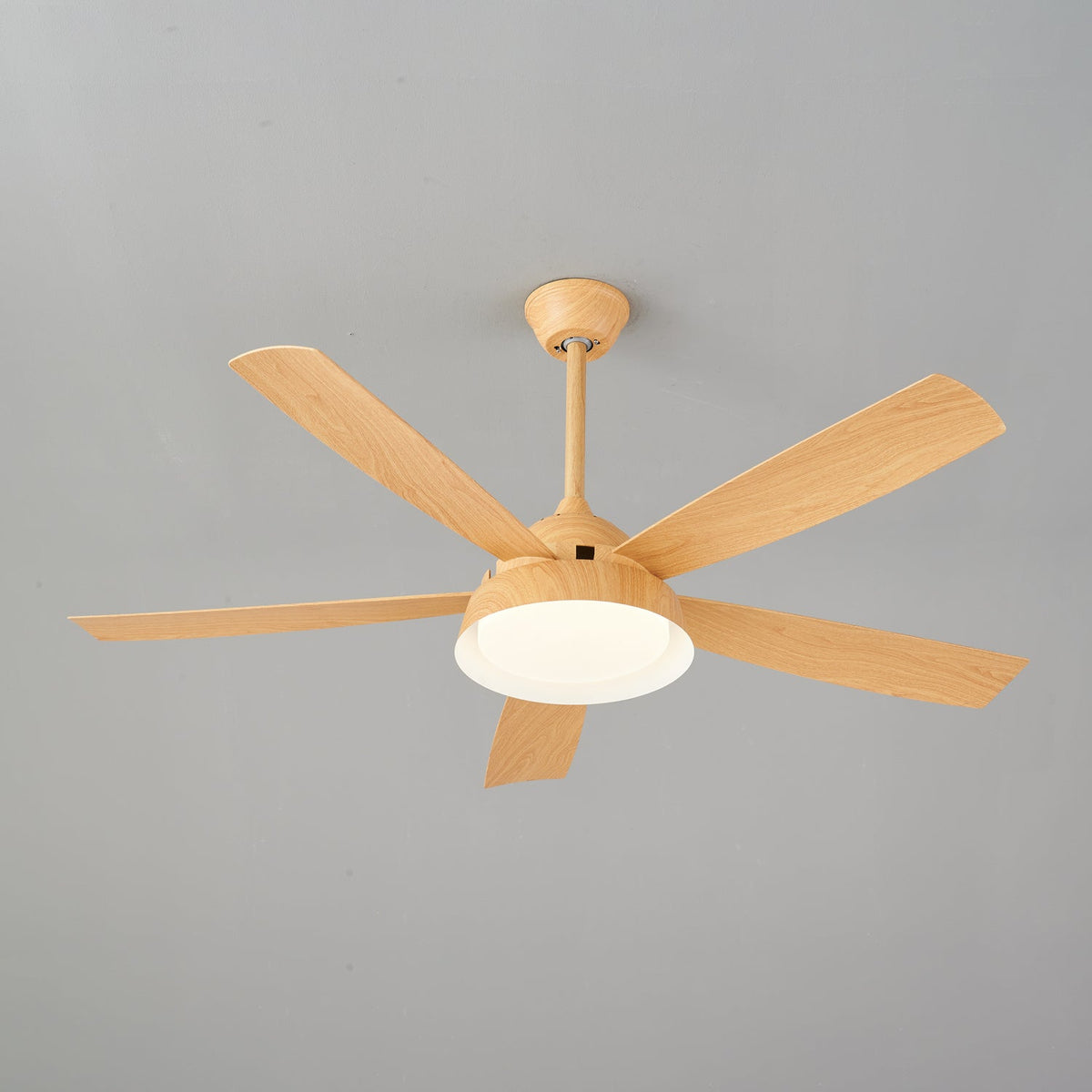 Elysian Ceiling Fan Light — product view 27