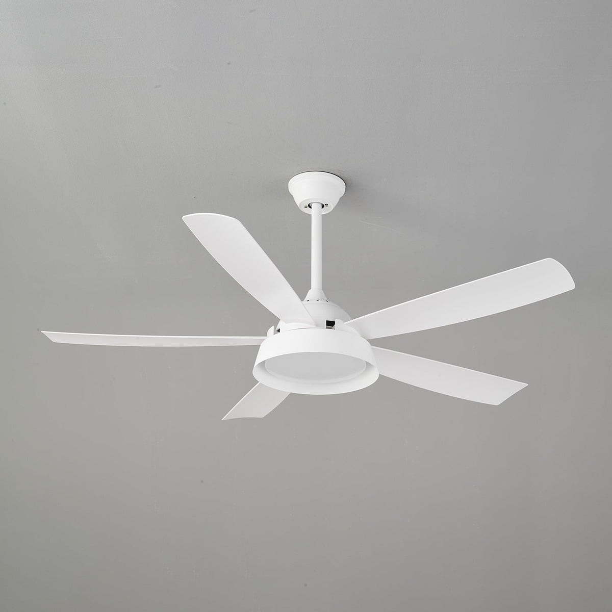 Elysian Ceiling Fan Light — product view 9
