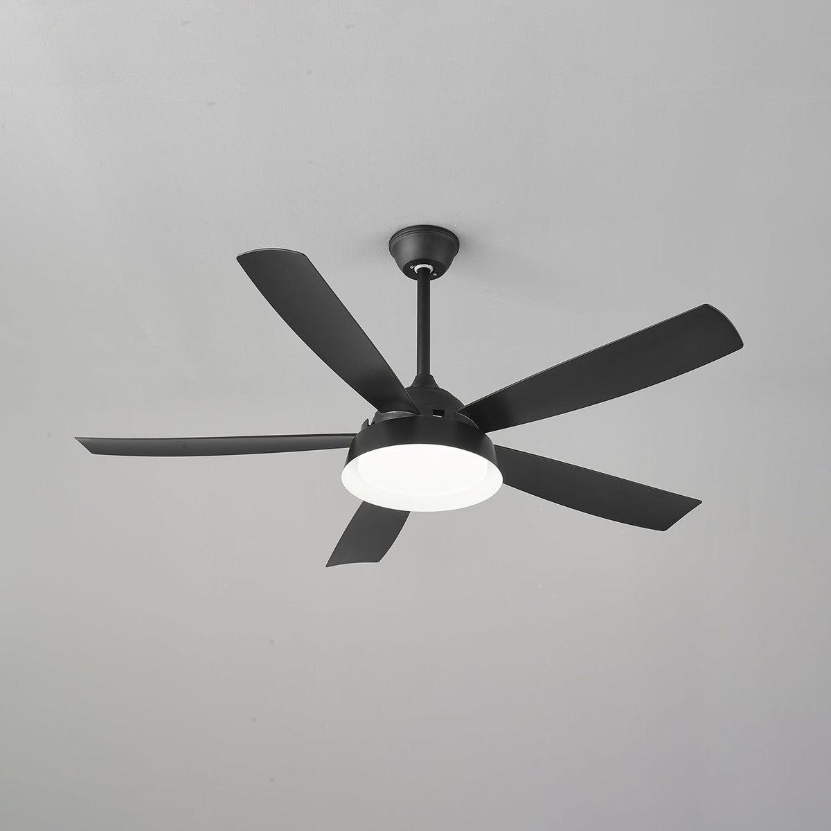 Elysian Ceiling Fan Light — product view 30