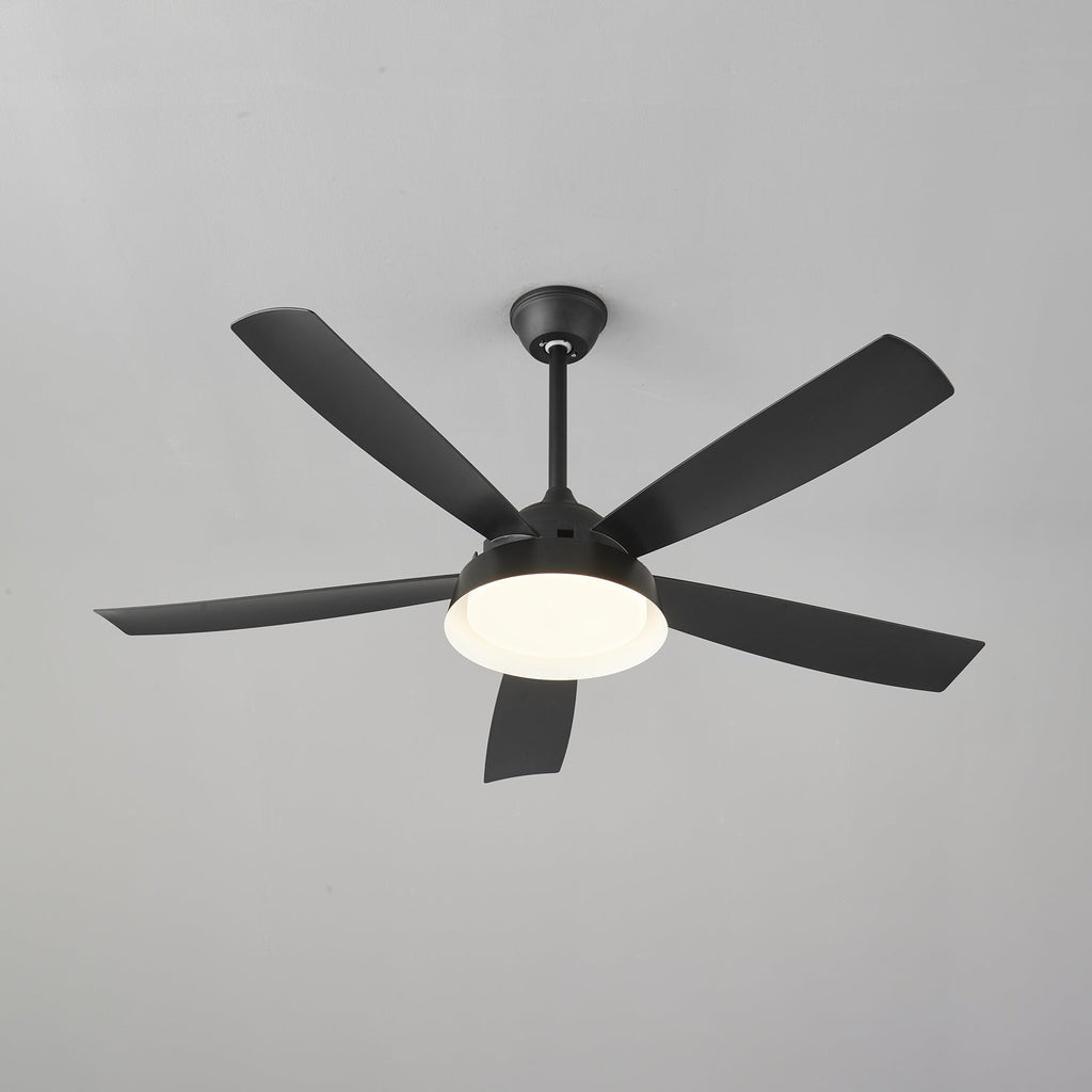 Elysian Ceiling Fan Light — product view 32