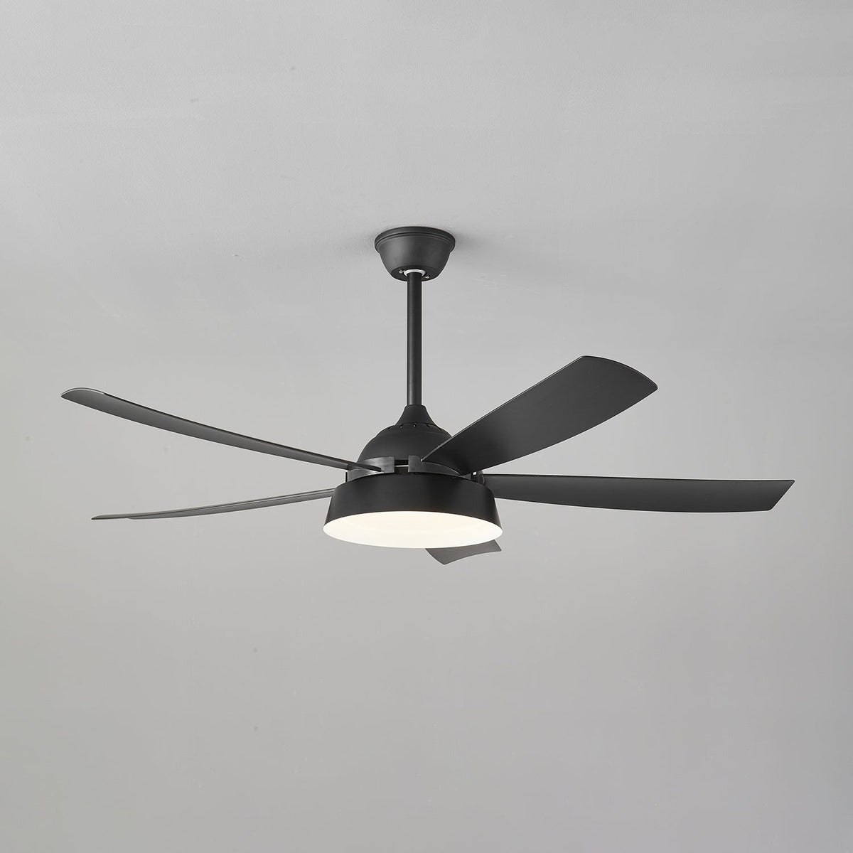 Elysian Ceiling Fan Light — product view 33
