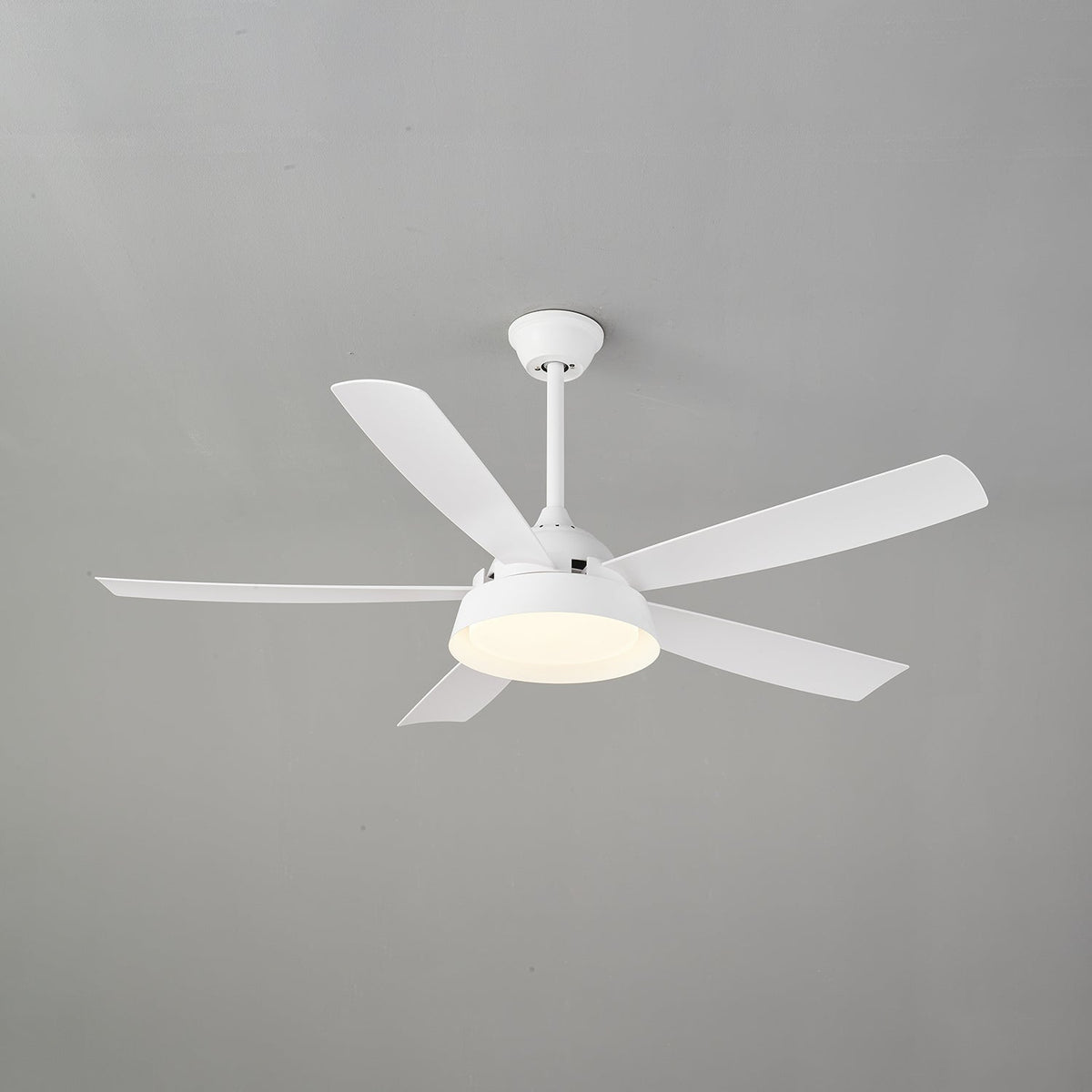 Elysian Ceiling Fan Light — product view 10