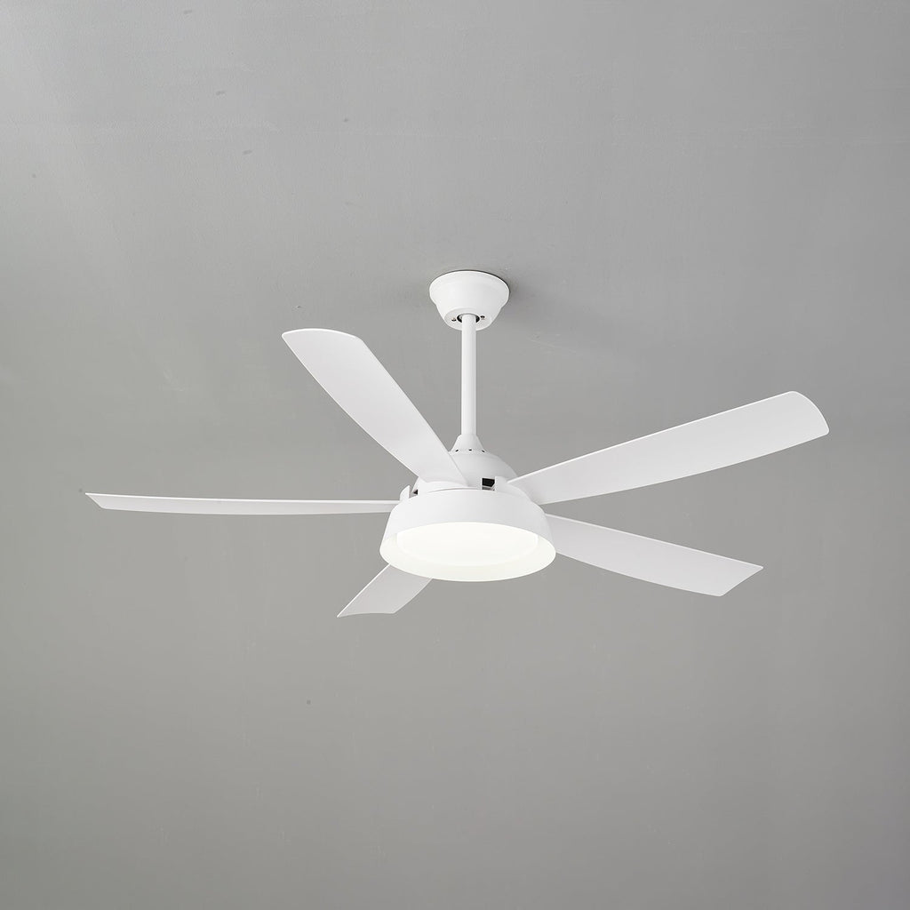 Elysian Ceiling Fan Light — product view 11