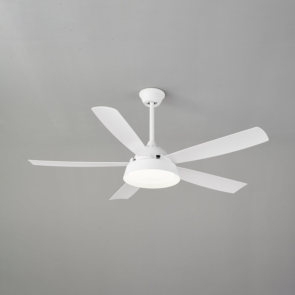 Elysian Ceiling Fan Light — product view 11