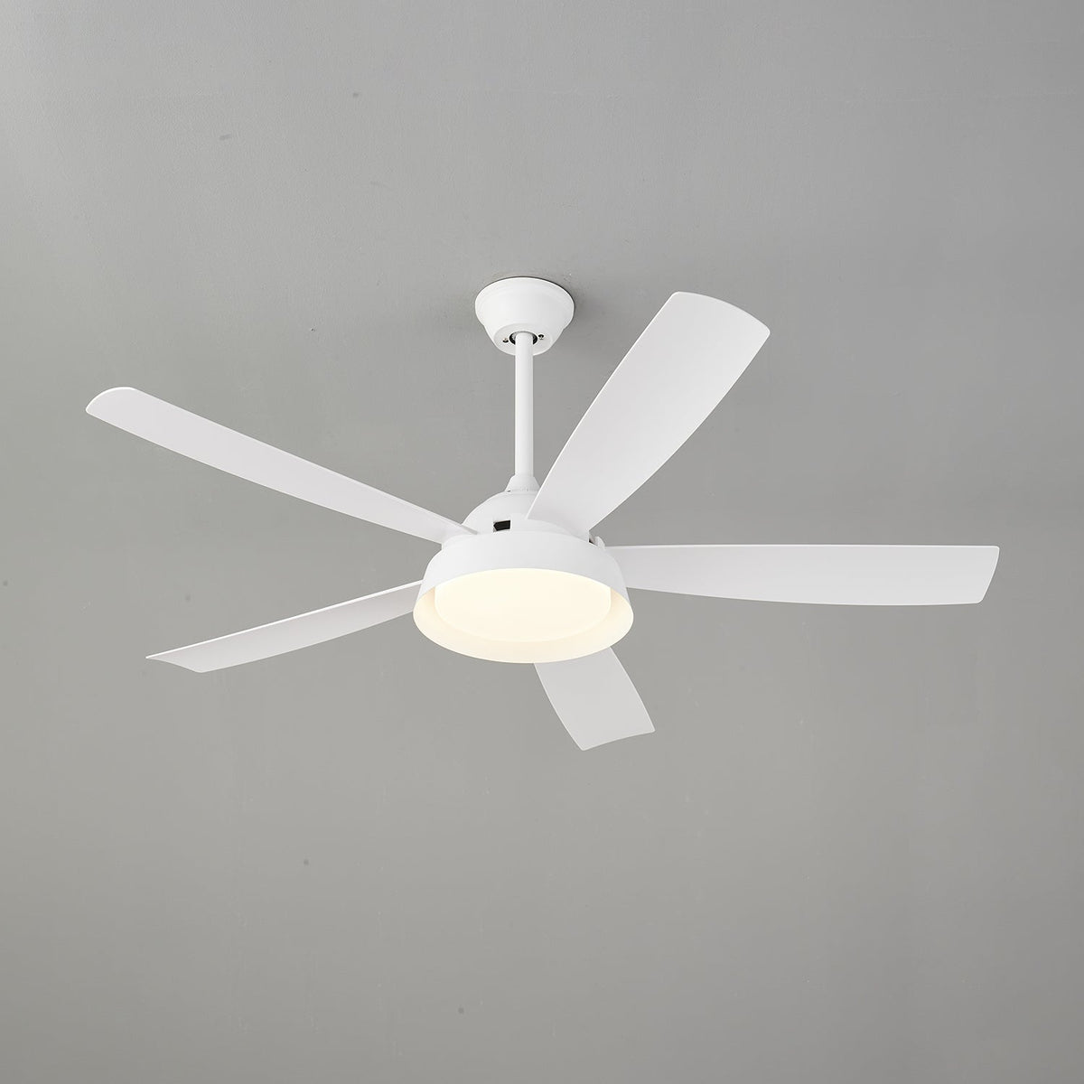 Elysian Ceiling Fan Light — product view 13