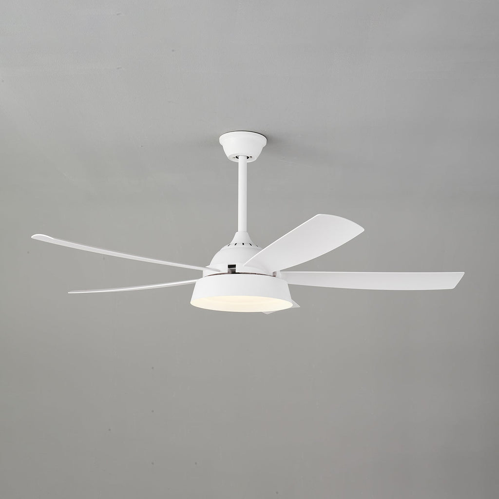 Elysian Ceiling Fan Light — product view 14