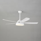 Elysian Ceiling Fan Light — product view 14