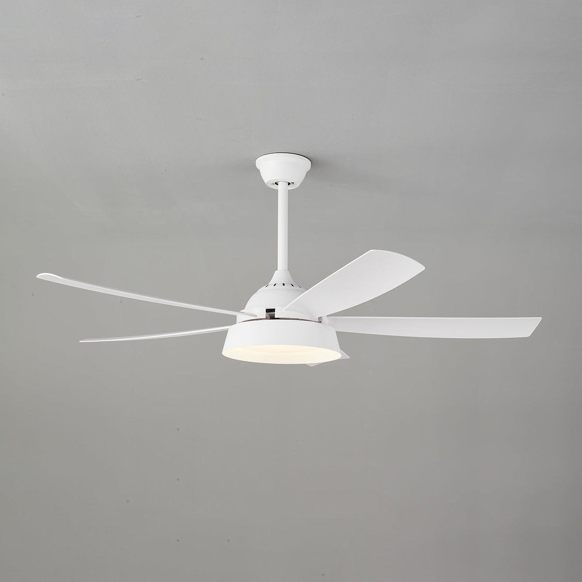 Elysian Ceiling Fan Light — product view 14