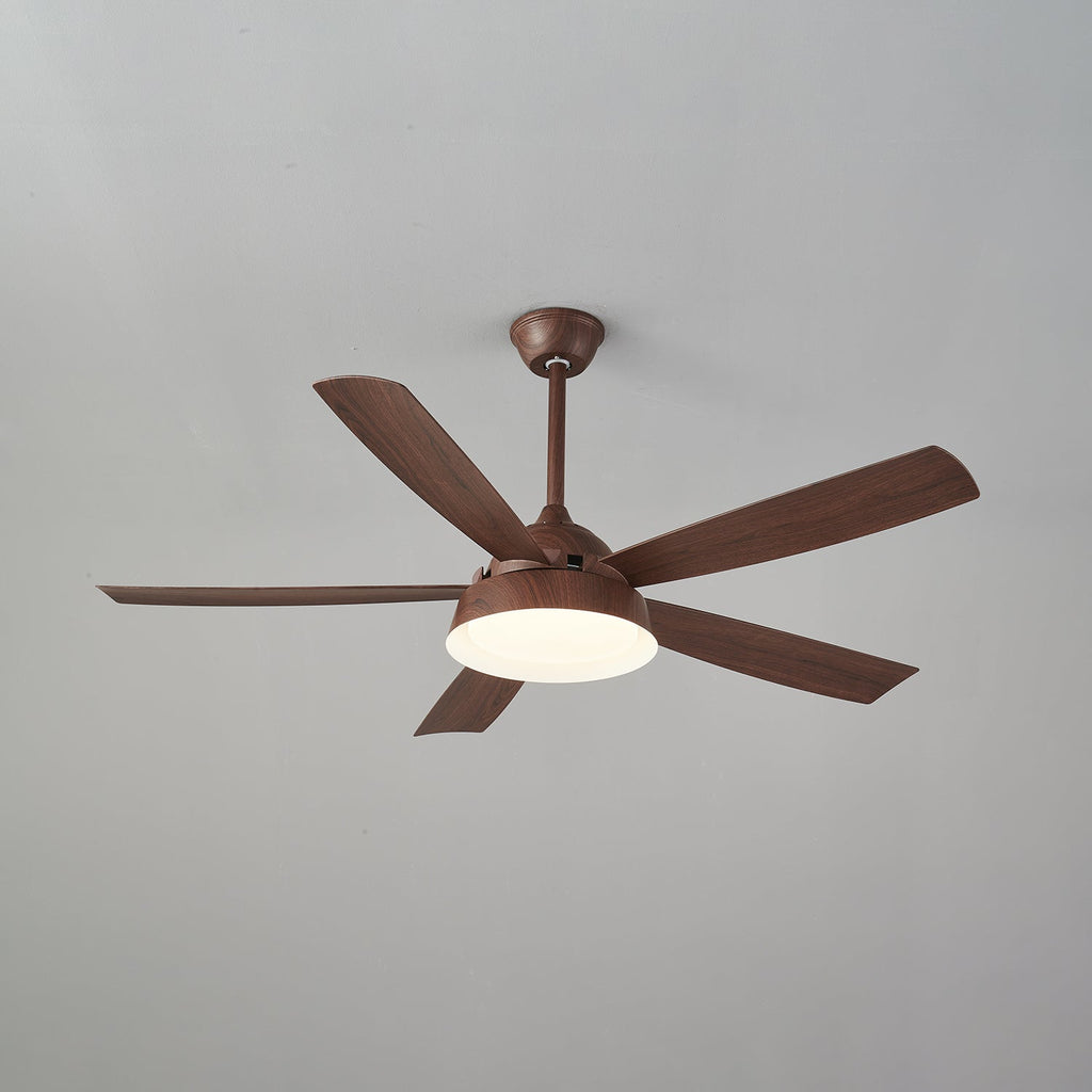 Elysian Ceiling Fan Light — product view 16