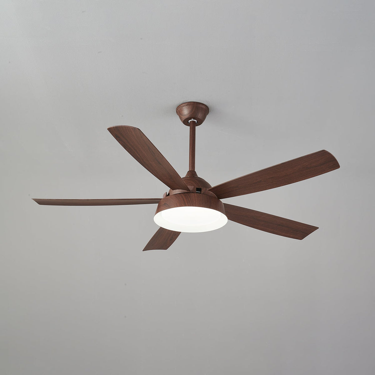 Elysian Ceiling Fan Light — product view 17