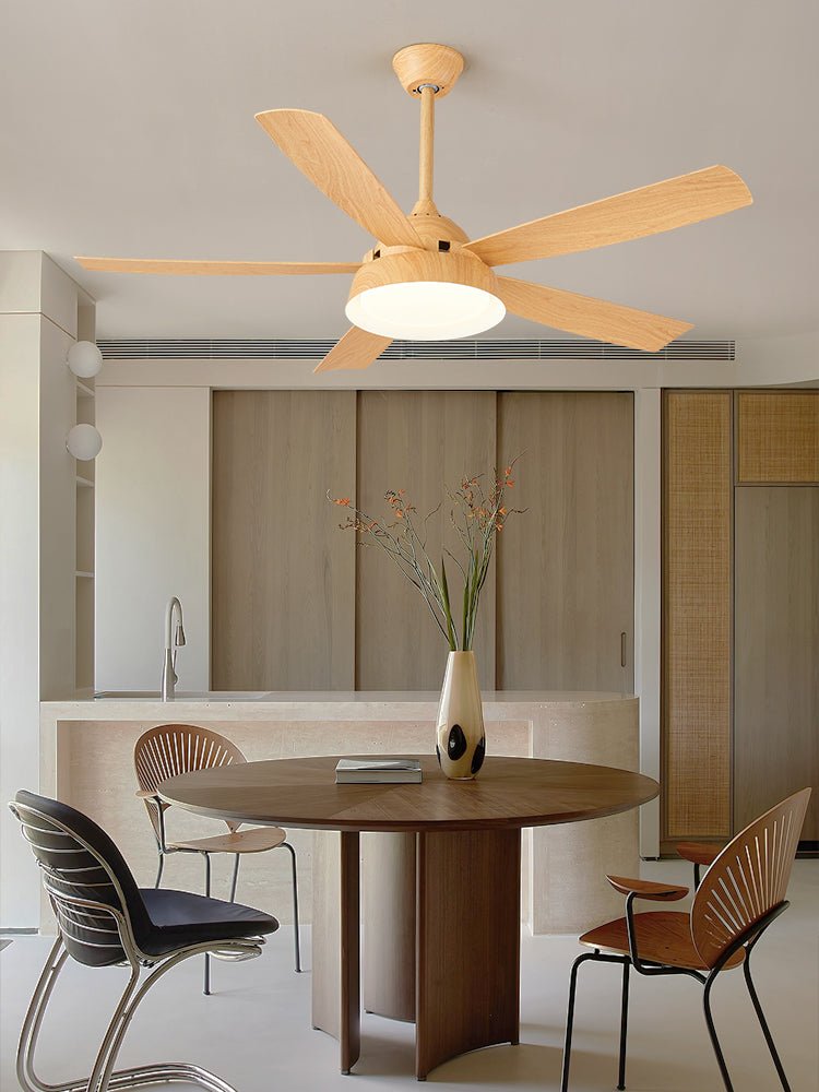 Elysian Ceiling Fan Light — product view 37