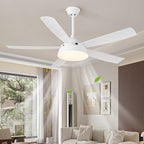 Elysian Ceiling Fan Light — product view 23